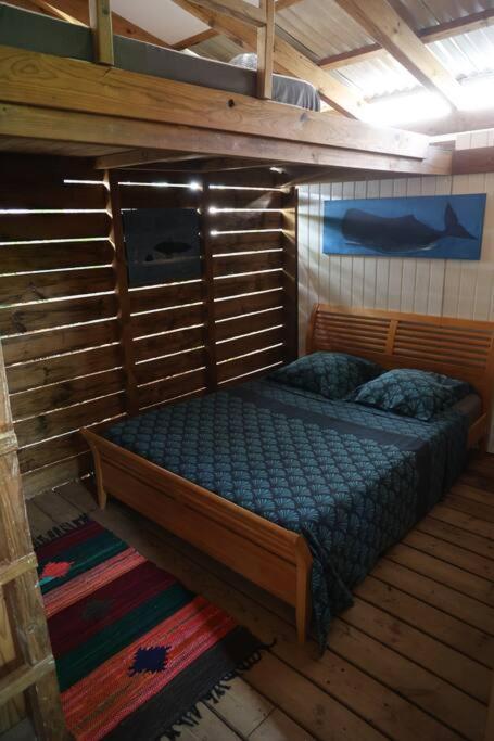 Malendure, Maison En Bord De Mer A L'ombre Du Manguier